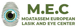 MEC-Logo2