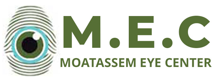 MEC-Logo-2